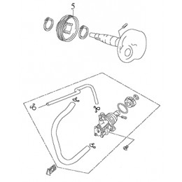 Gear, Pump Drive